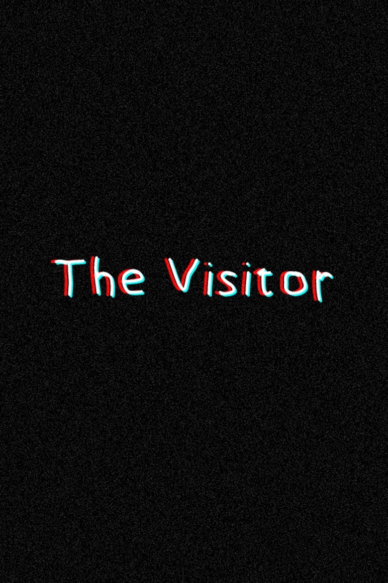 Poster of The Visitor