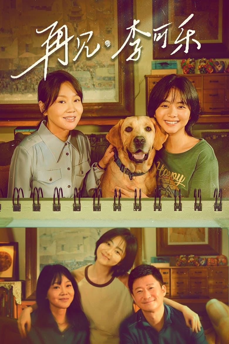 Poster of So Long for Love