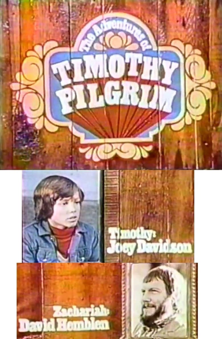 Poster of The Adventures of Timothy Pilgrim