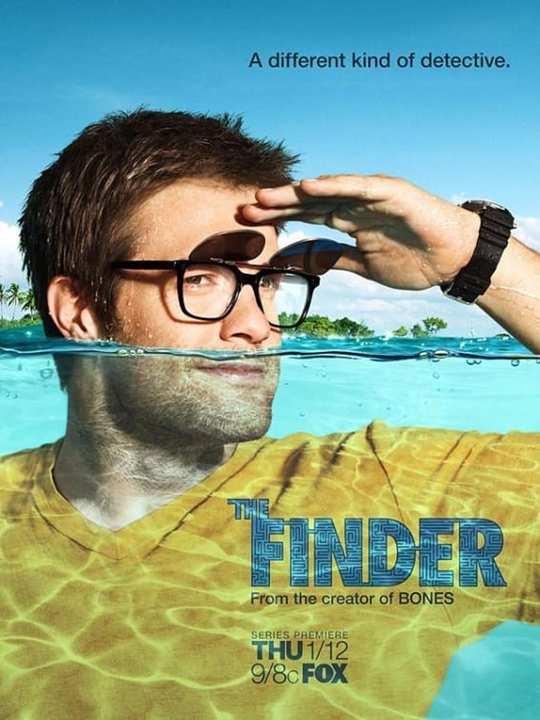 Poster of The Finder