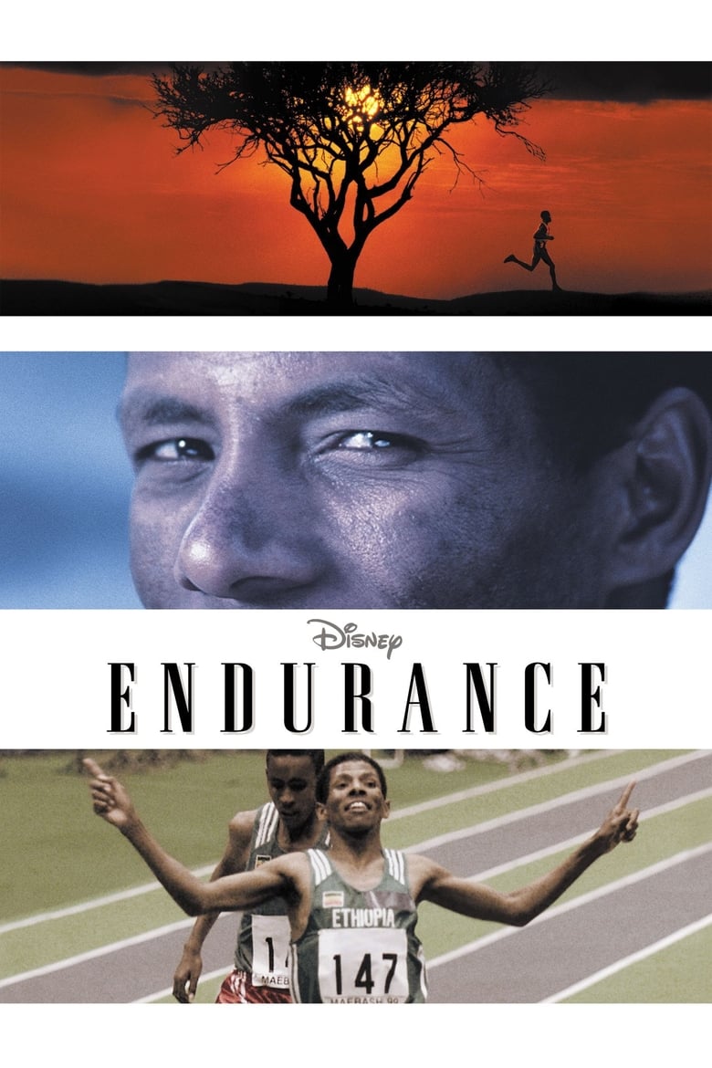 Poster of Endurance