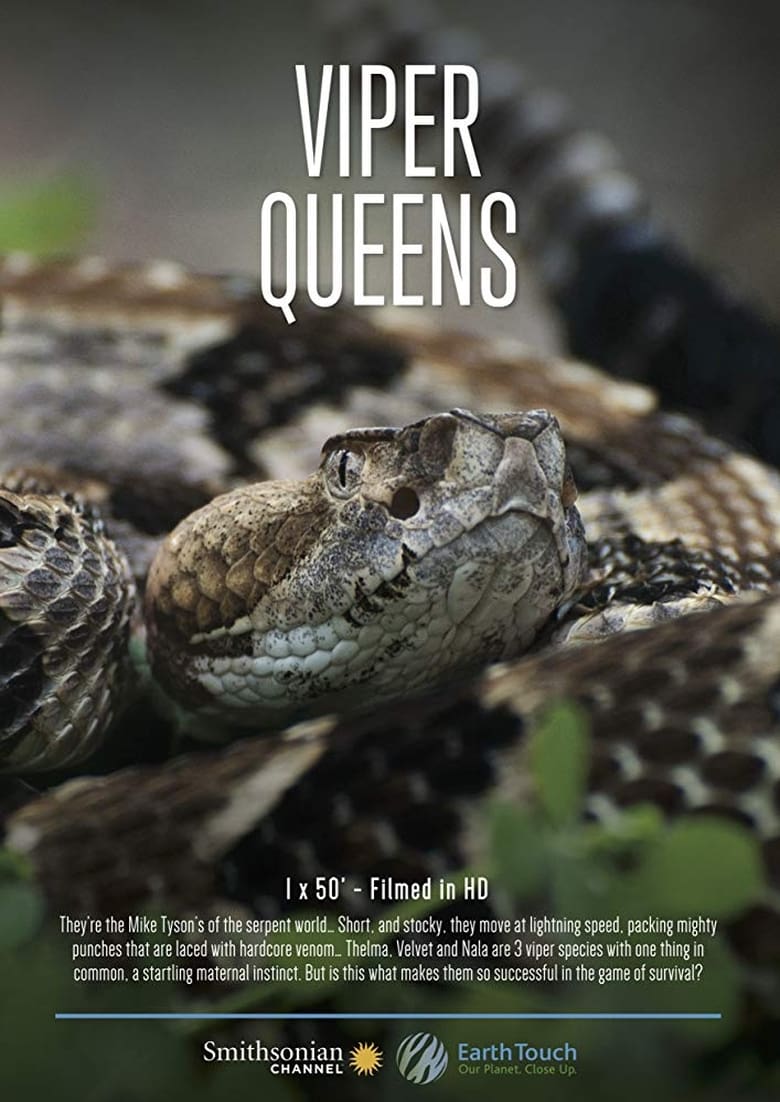 Poster of Viper Queens