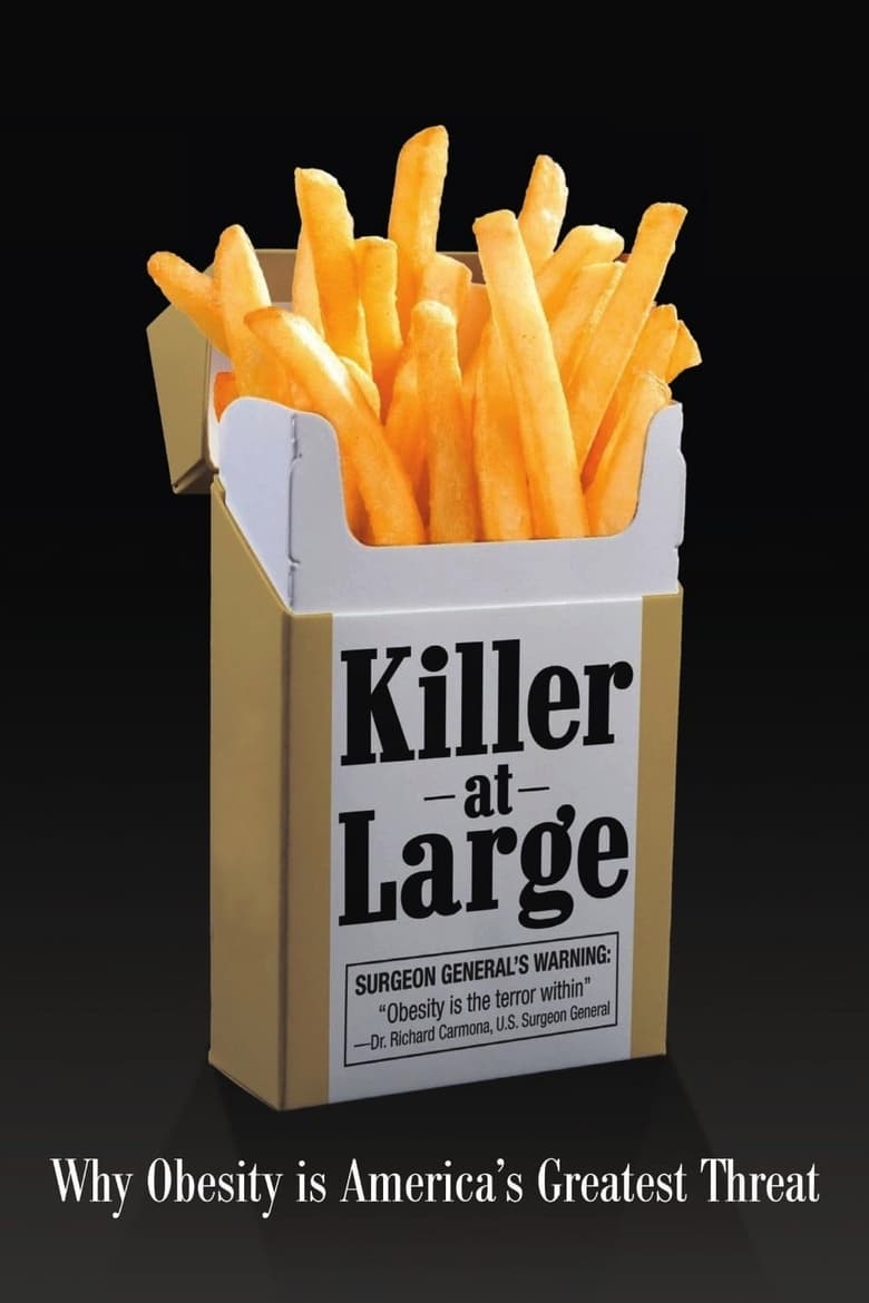 Poster of Killer at Large