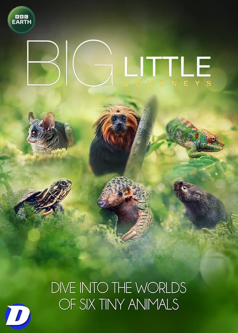 Poster of Episodes in Big Little Journeys - Season 1 - Season 1