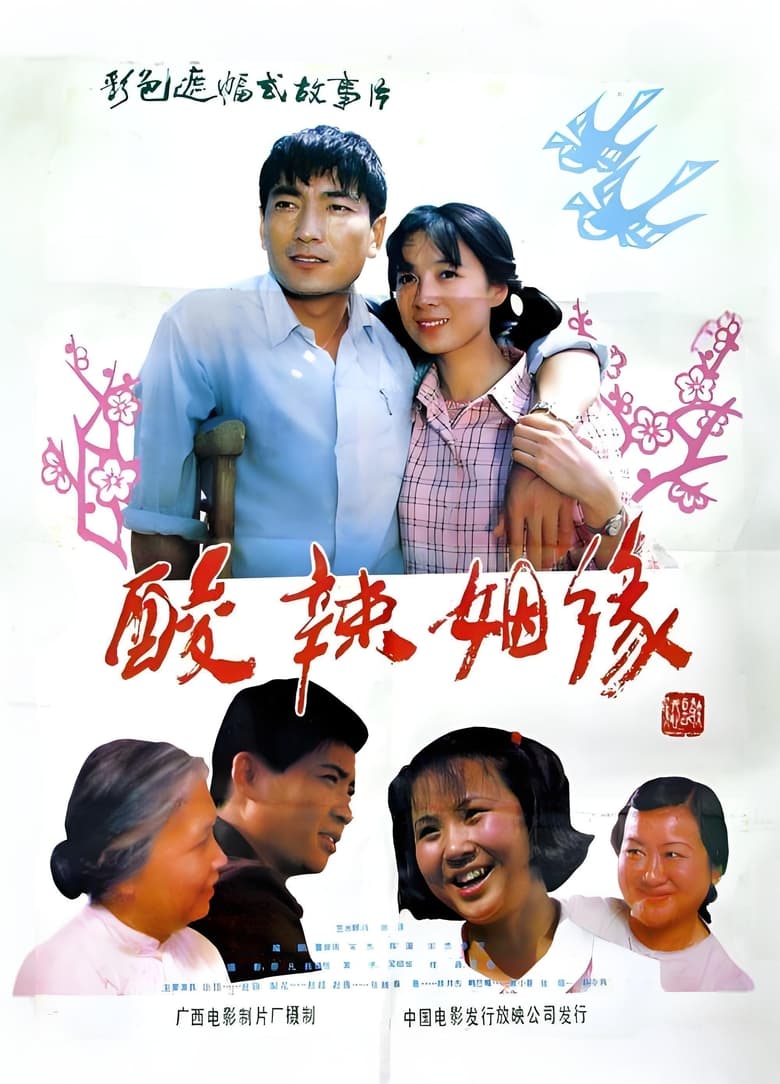 Poster of 酸辣姻缘