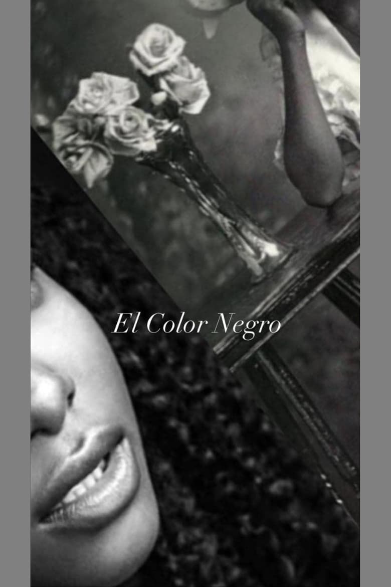 Poster of El Color Negro