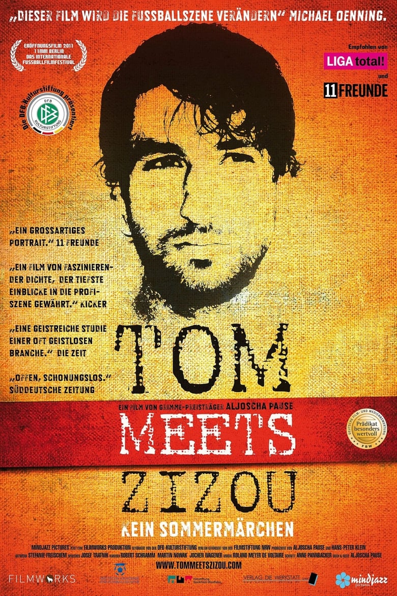 Poster of Tom meets Zizou - Kein Sommermärchen