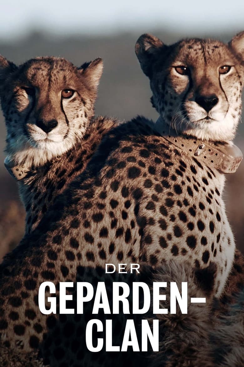 Poster of Cheetahs United