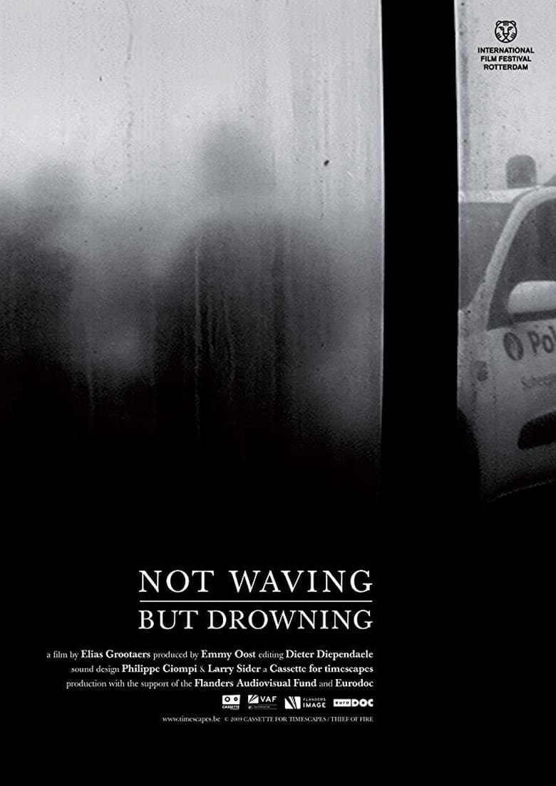 Poster of Not Waving, But Drowning