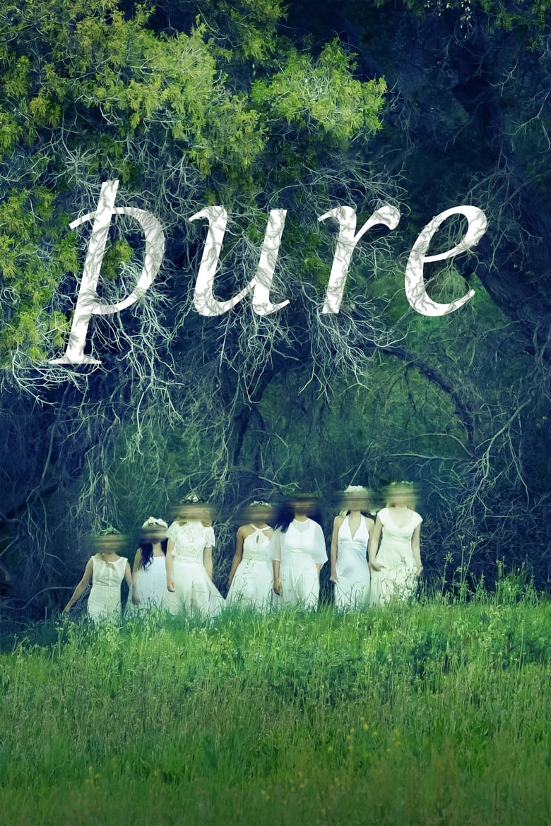 Poster of Pure