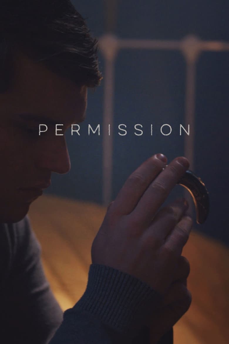 Poster of Permission