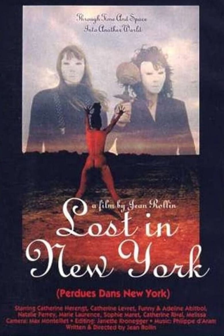 Poster of Lost in New York