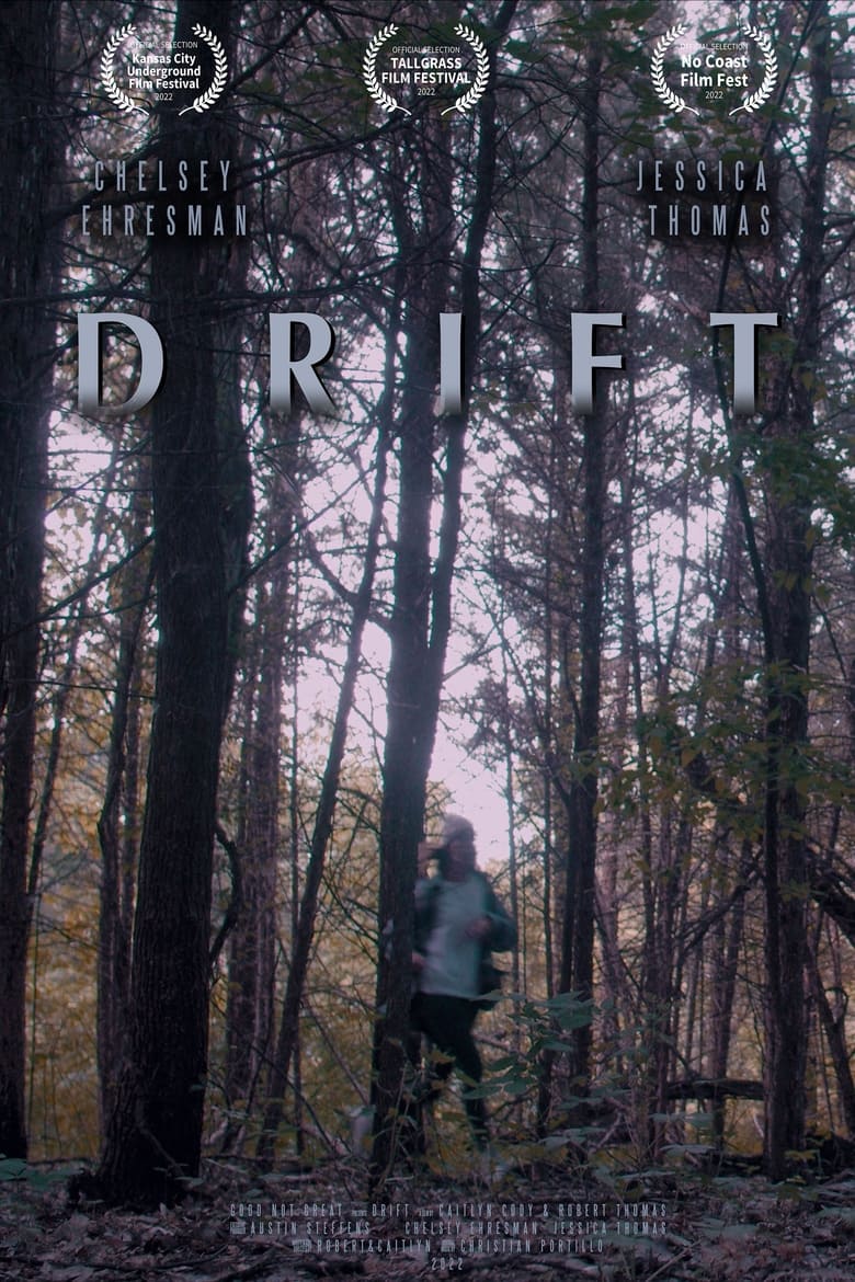 Poster of DRiFT