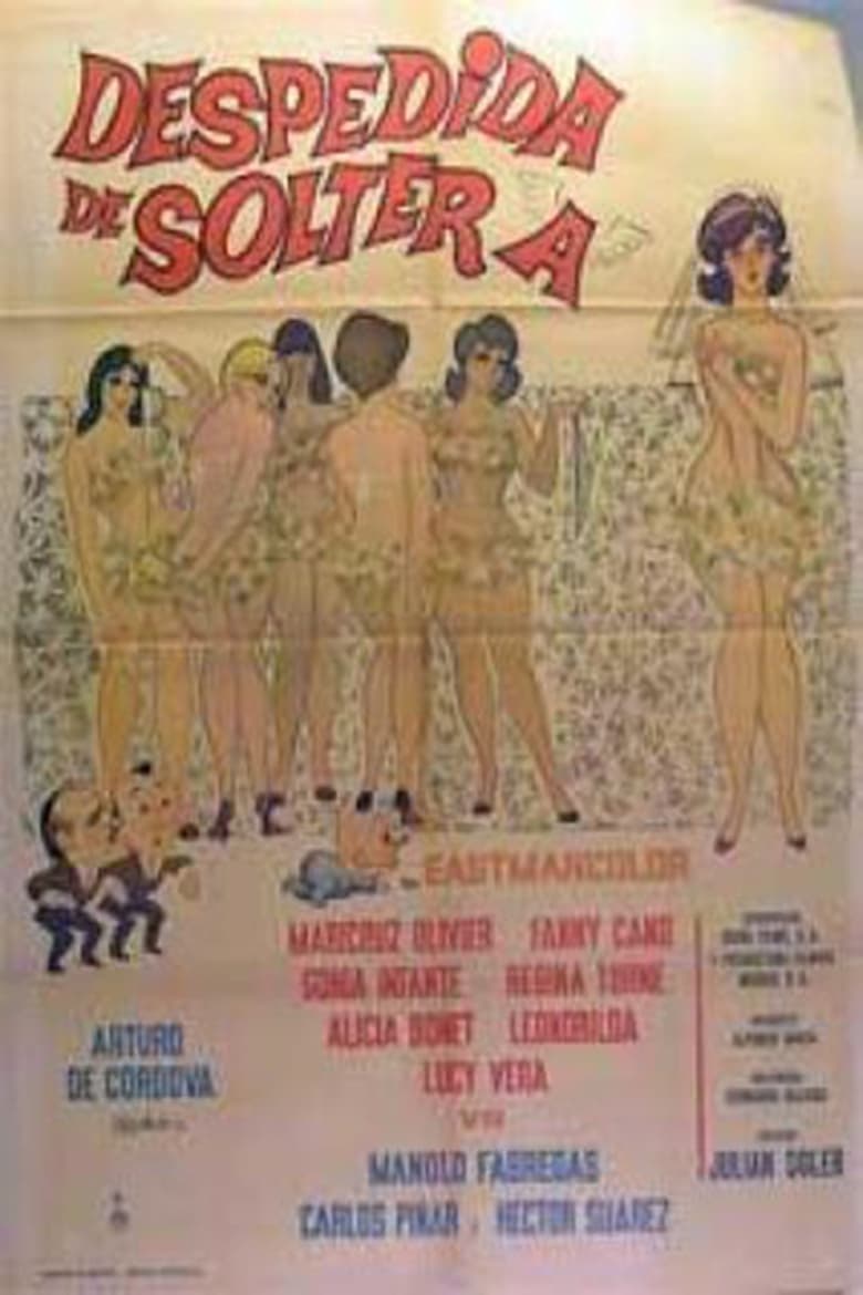 Poster of Despedida de soltera