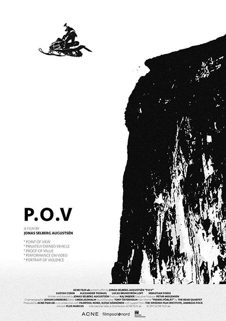 Poster of P.O.V