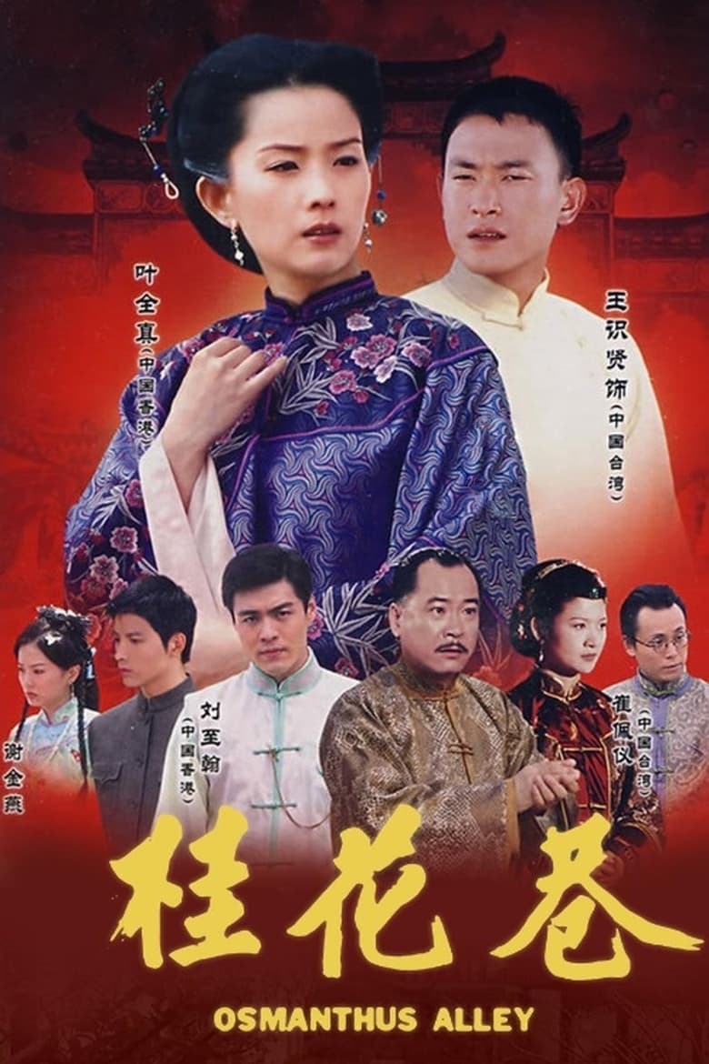 Poster of 桂花巷