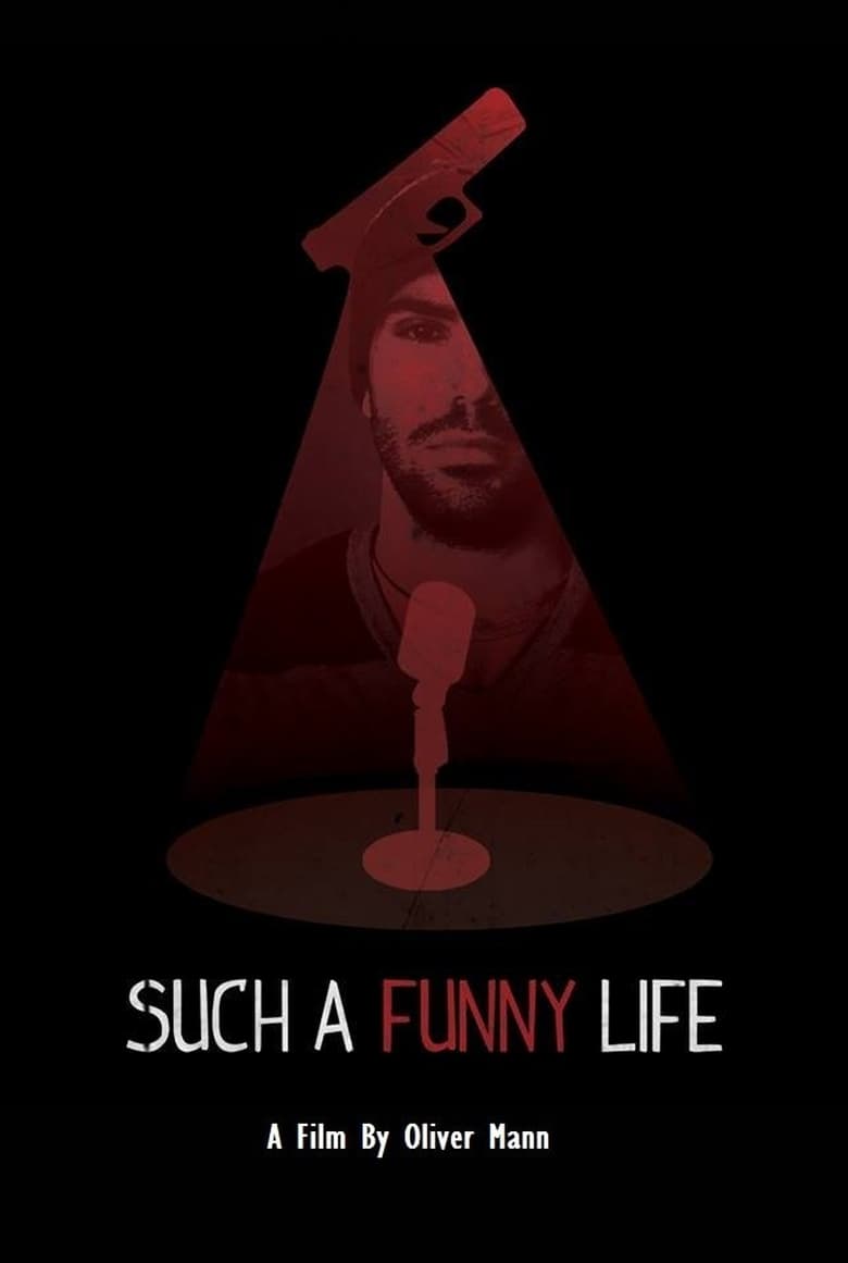 Poster of Such a Funny Life