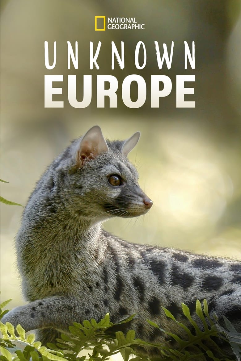 Poster of Hidden Wonders of Europe