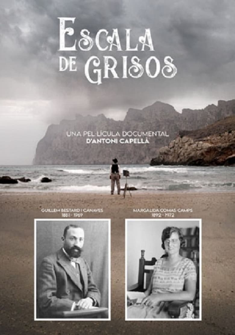 Poster of Escala de grisos