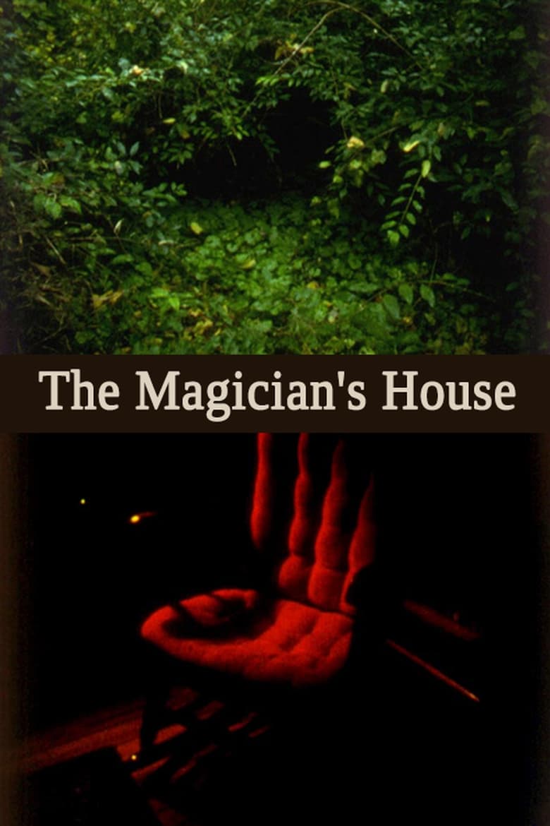 Poster of The Magician's House