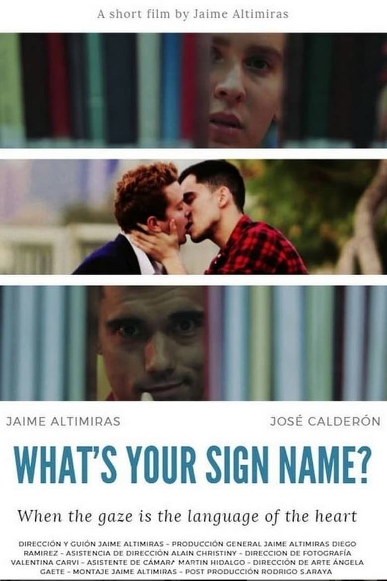 Poster of What's Your Sign Name?