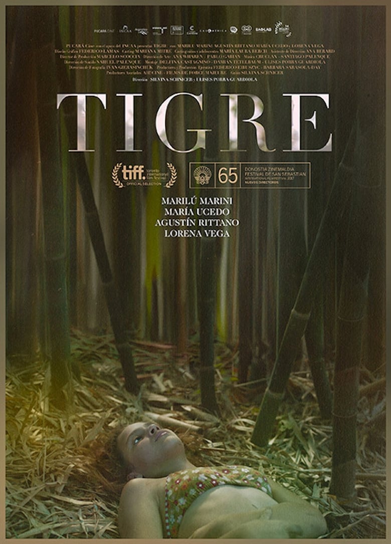 Poster of Tigre