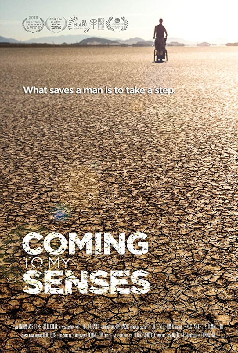 Poster of Coming To My Senses