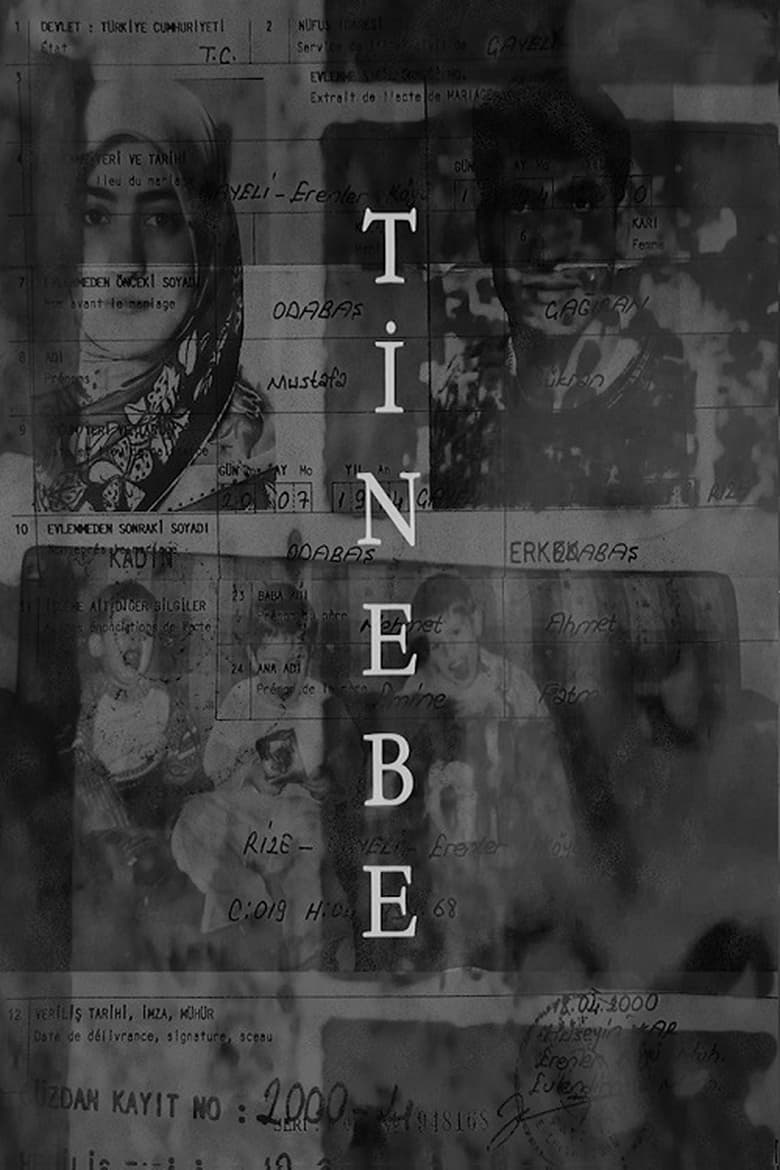 Poster of Tinebe