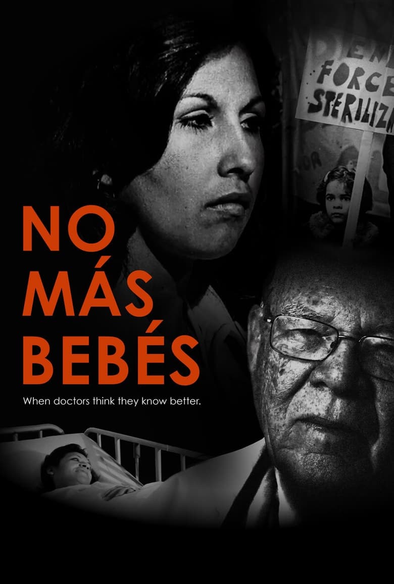 Poster of No More Babies