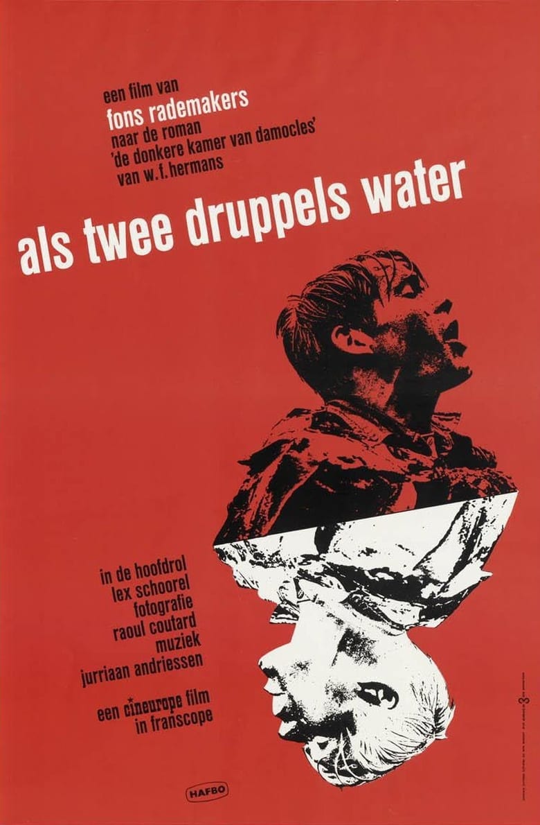 Poster of Like Two Drops of Water