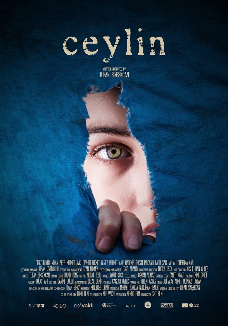 Poster of Ceylin