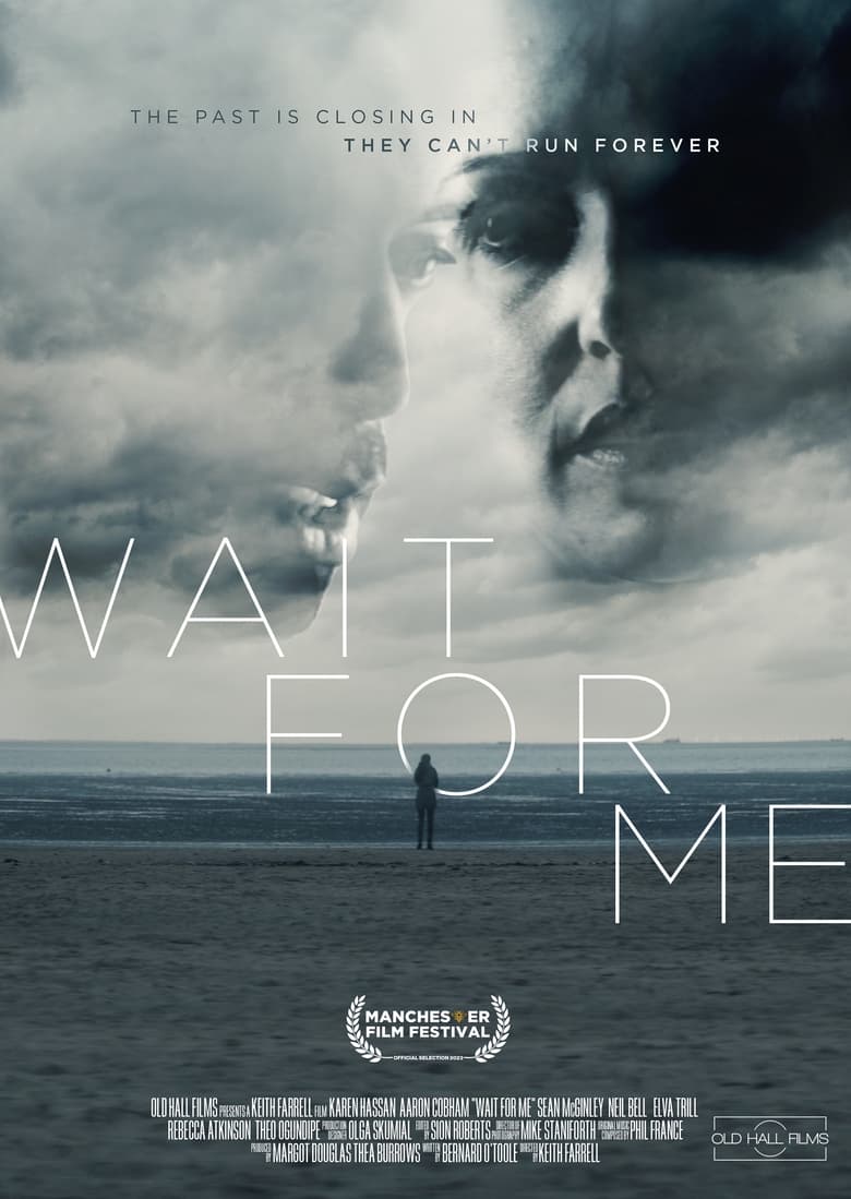 Poster of Wait for Me