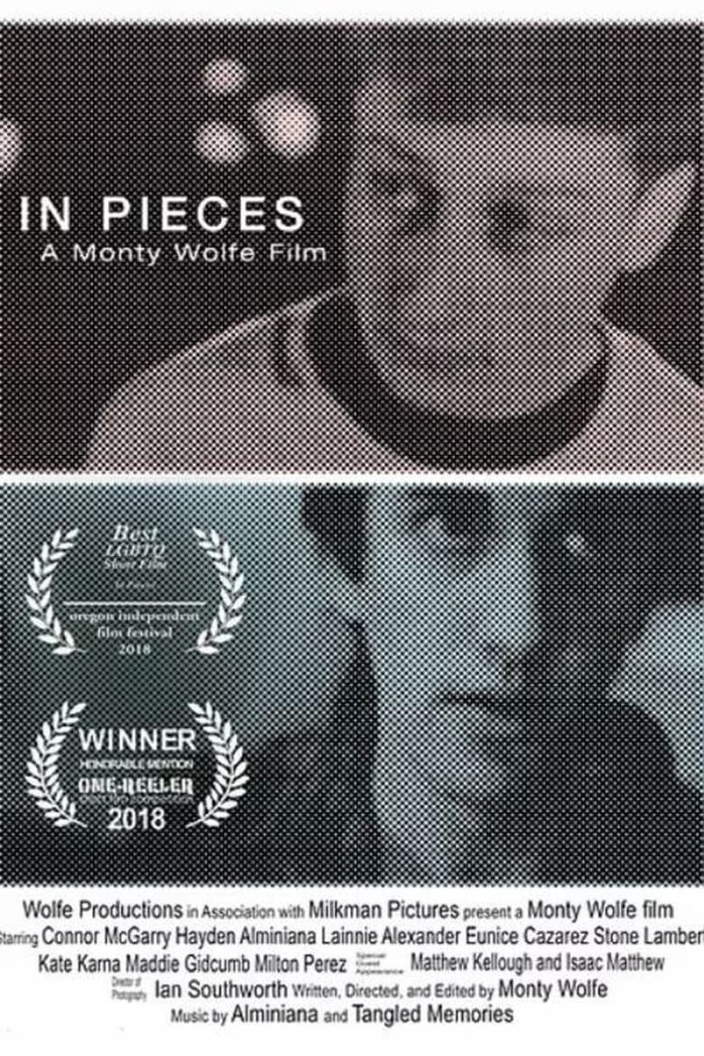 Poster of In Pieces