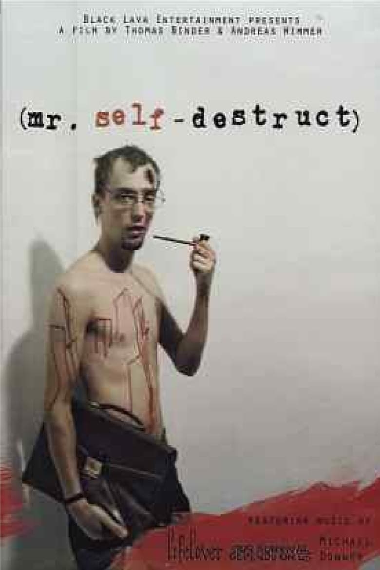 Poster of Mr. Self-Destruct