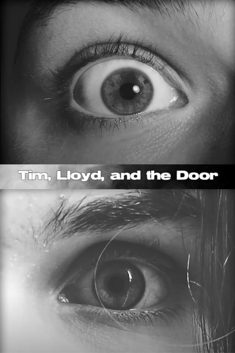 Poster of Tim, Lloyd, and the Door