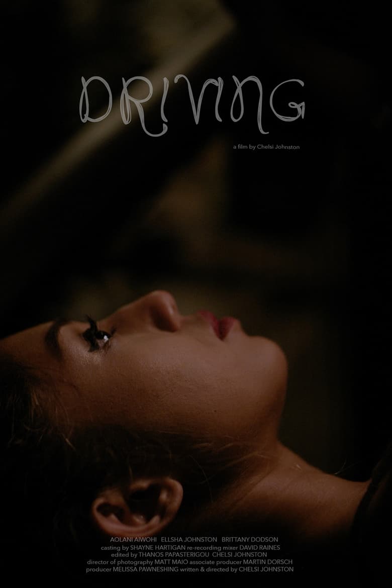 Poster of Driving