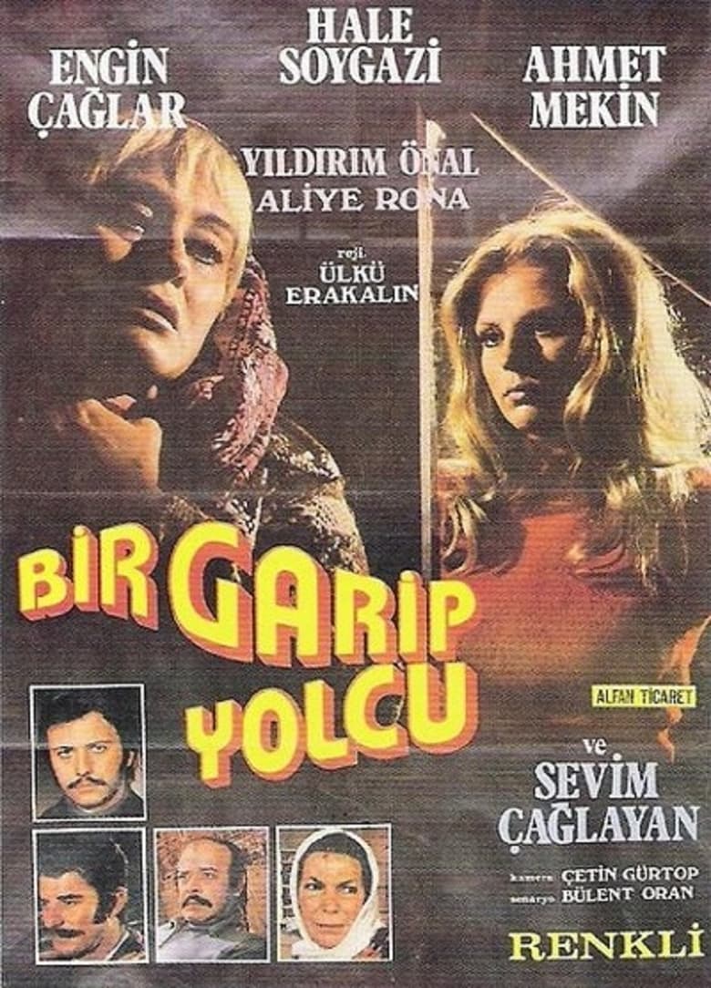 Poster of Bir Garip Yolcu