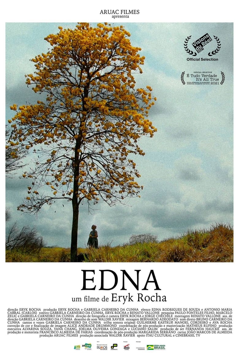 Poster of Edna