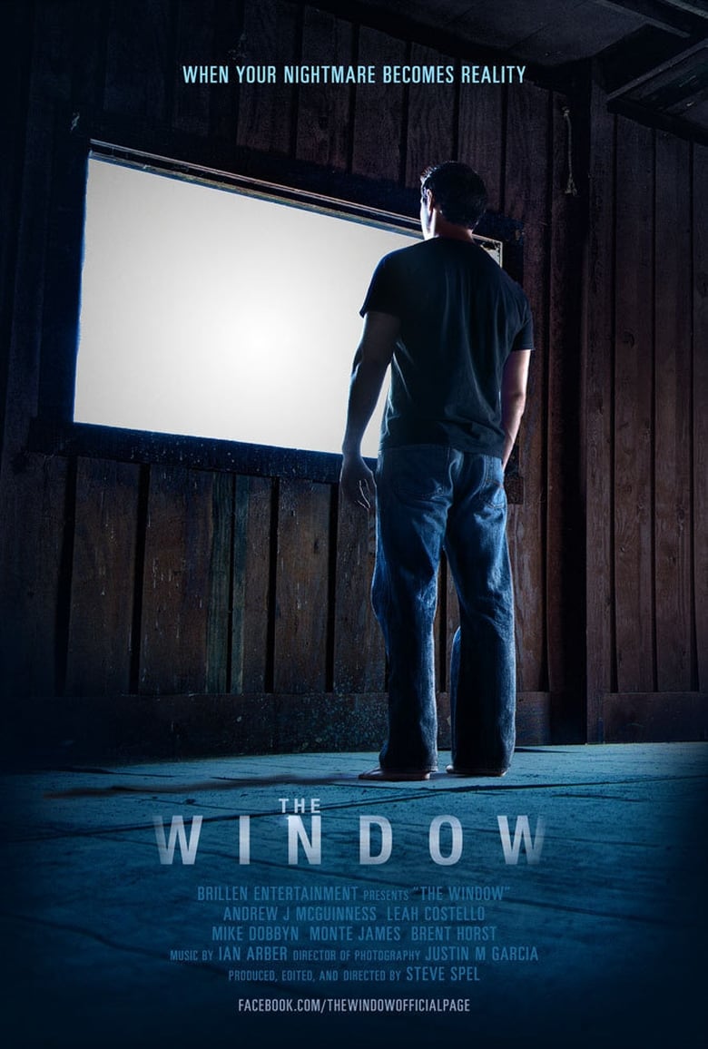 Poster of The Window