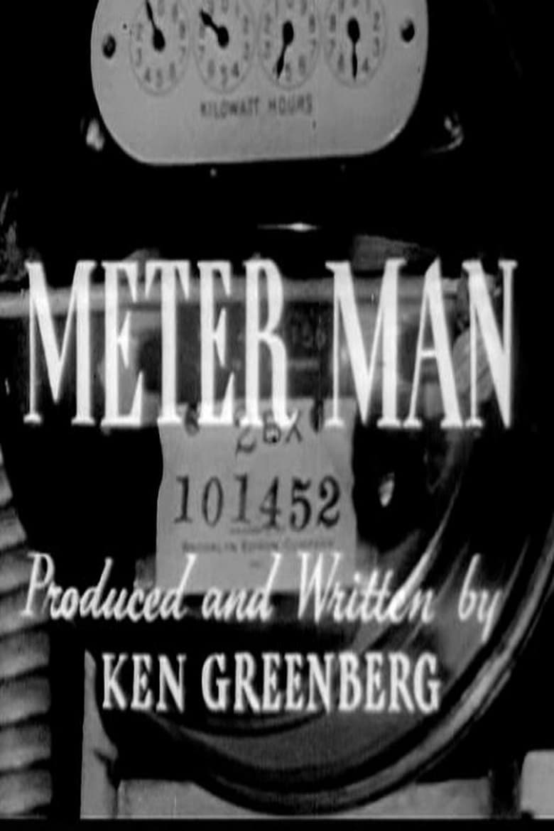 Poster of Meter Man