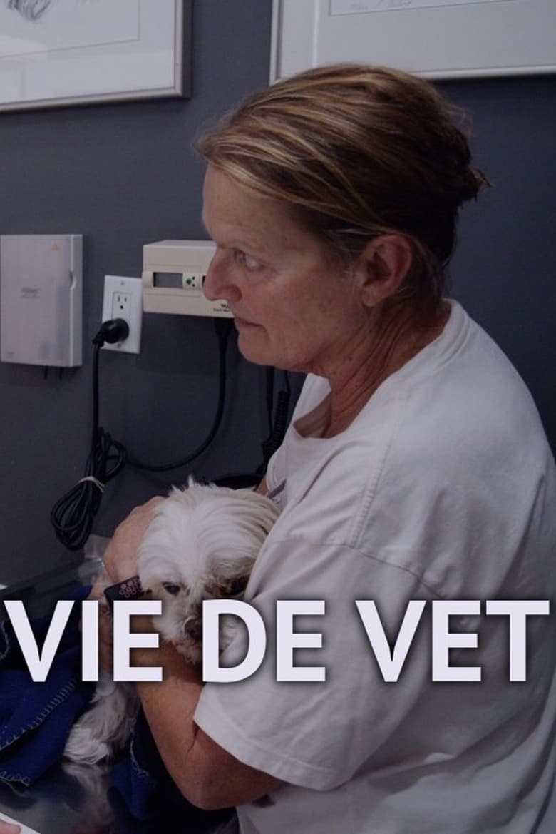 Poster of Vie de vet