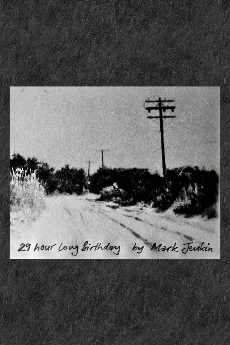 Poster of 29 Hour Long Birthday