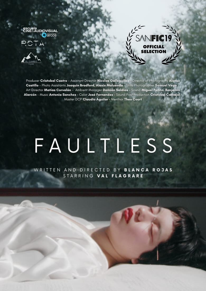 Poster of Faultless