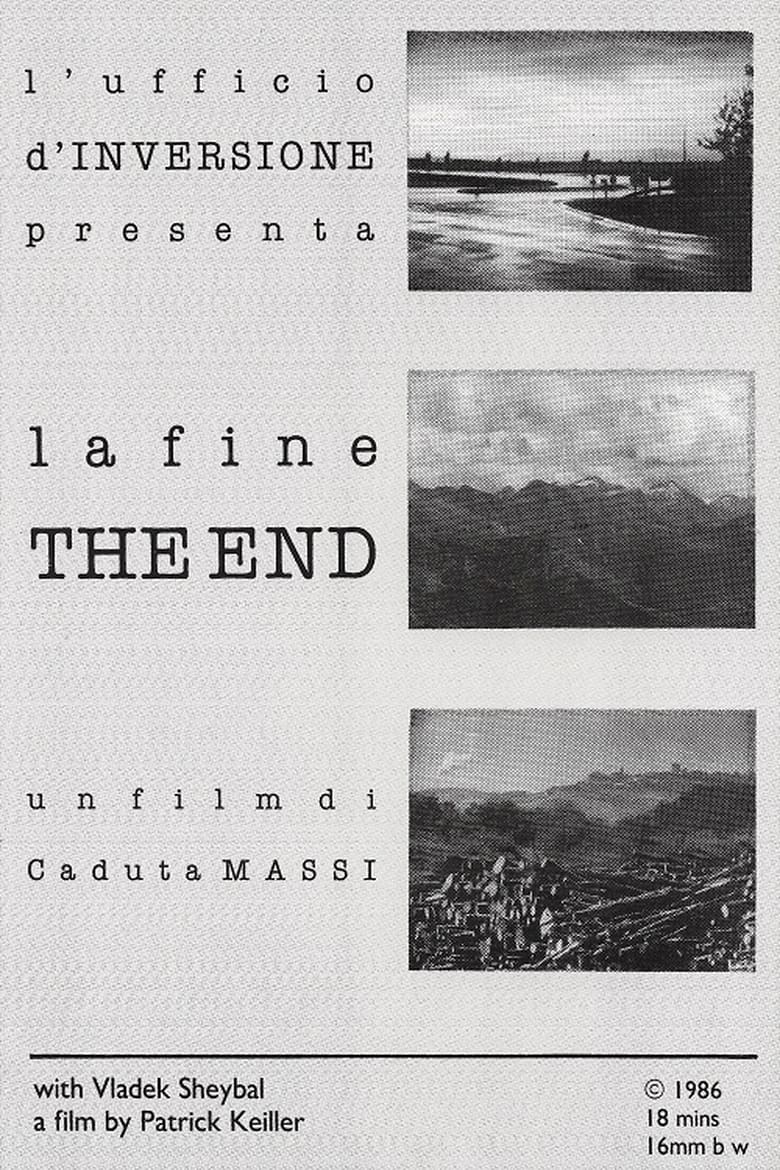 Poster of La fine – The End