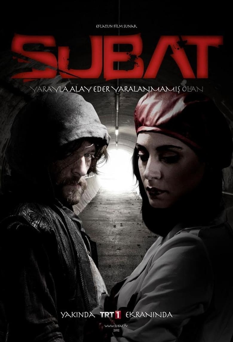 Poster of Şubat