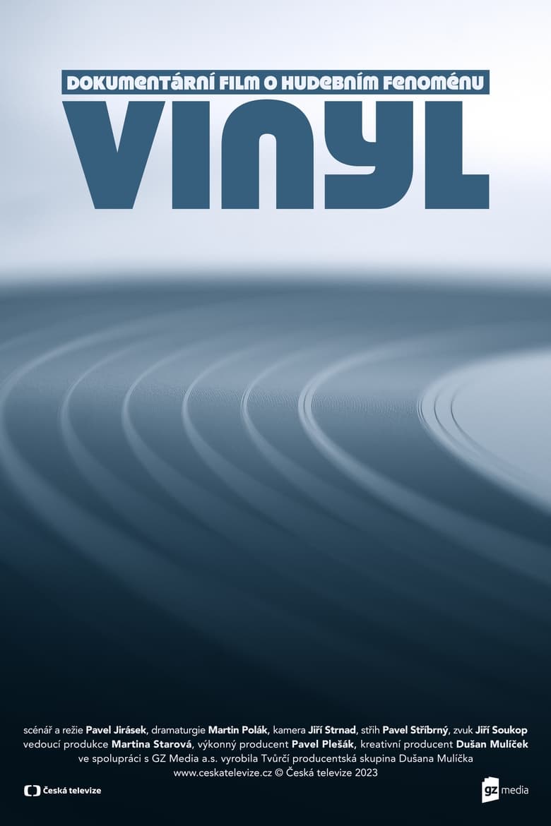 Poster of Vinyl