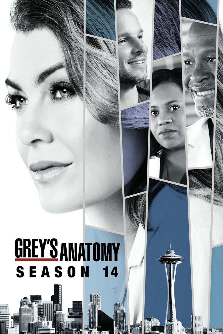 Poster of Episodes in Grey's Anatomy - Season 14 - Season 14