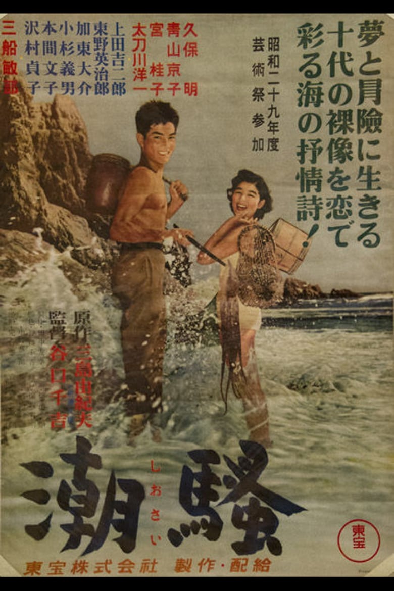 Poster of The Surf