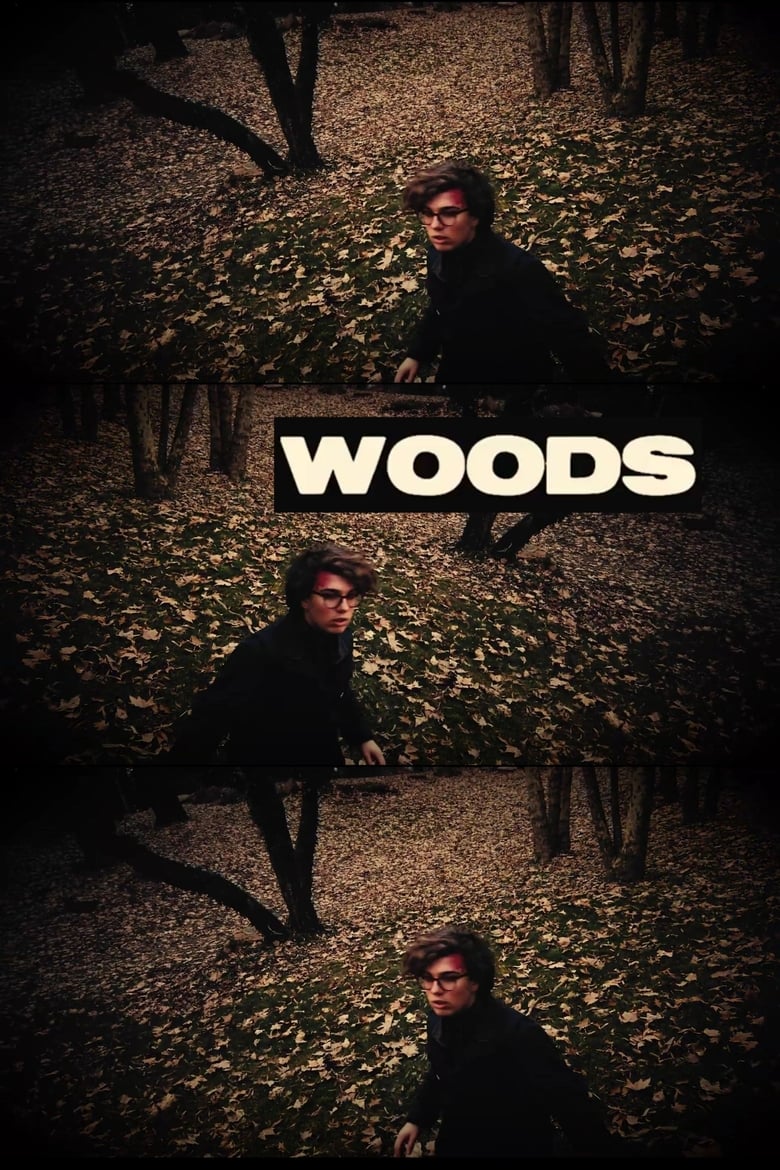 Poster of Woods