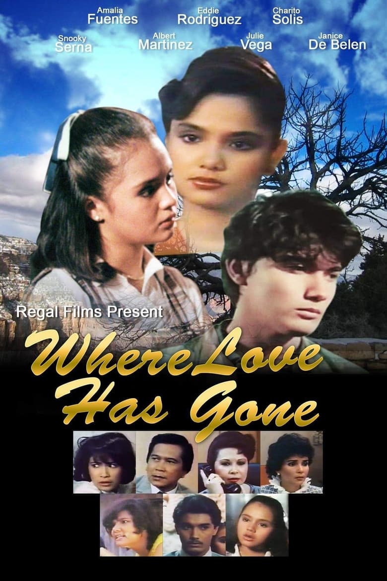 Poster of Where Love Has Gone